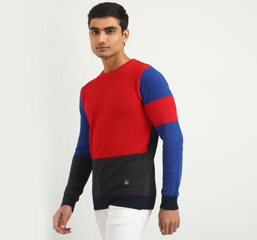 Men Colorblock Round Neck Sweater