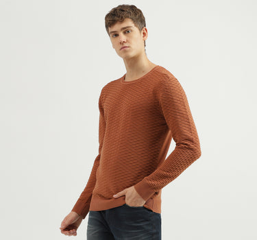 Men's Regular Fit Crew Neck Textured Sweater