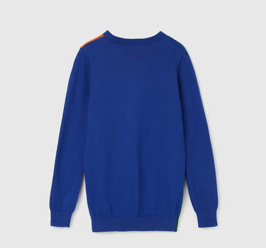 Boy's Regular Fit Crew Neck Color Block Sweaters