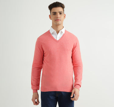 Mens V-Neck Solid Sweater