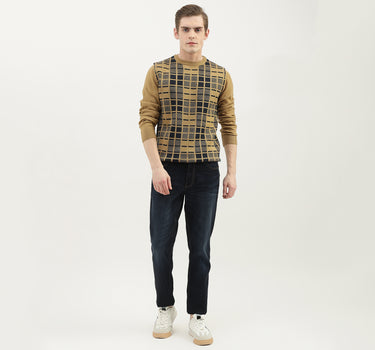 Men Checked Round Neck Sweater