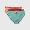 Pack of 2 Striped & Dino Sticker Print Low Rise Briefs