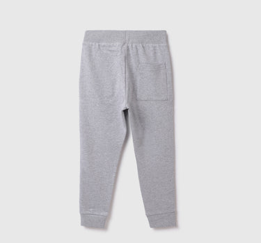 Cotton Printed Regular Length Boys Joggers