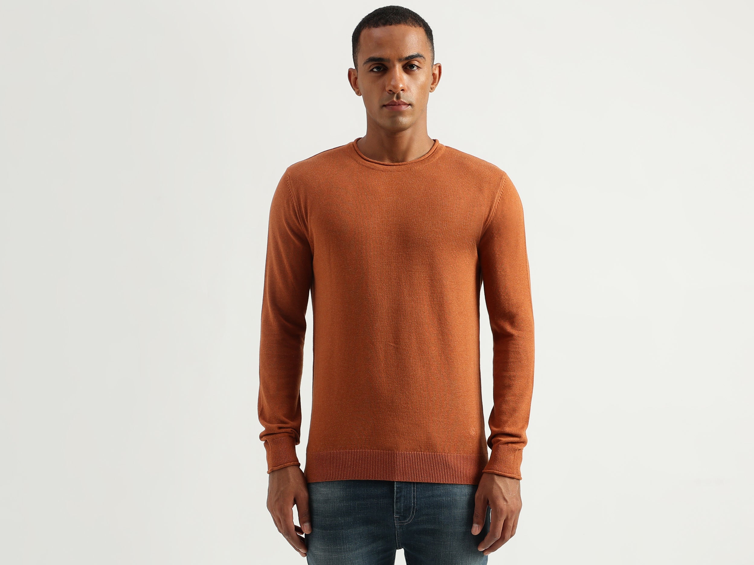 Men's Regular Fit Round Neck Solid Sweaters