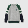 Boys Colorblock Round Neck Sweater