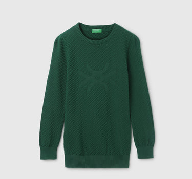 Boy's Regular Fit Round Neck Textured Sweater