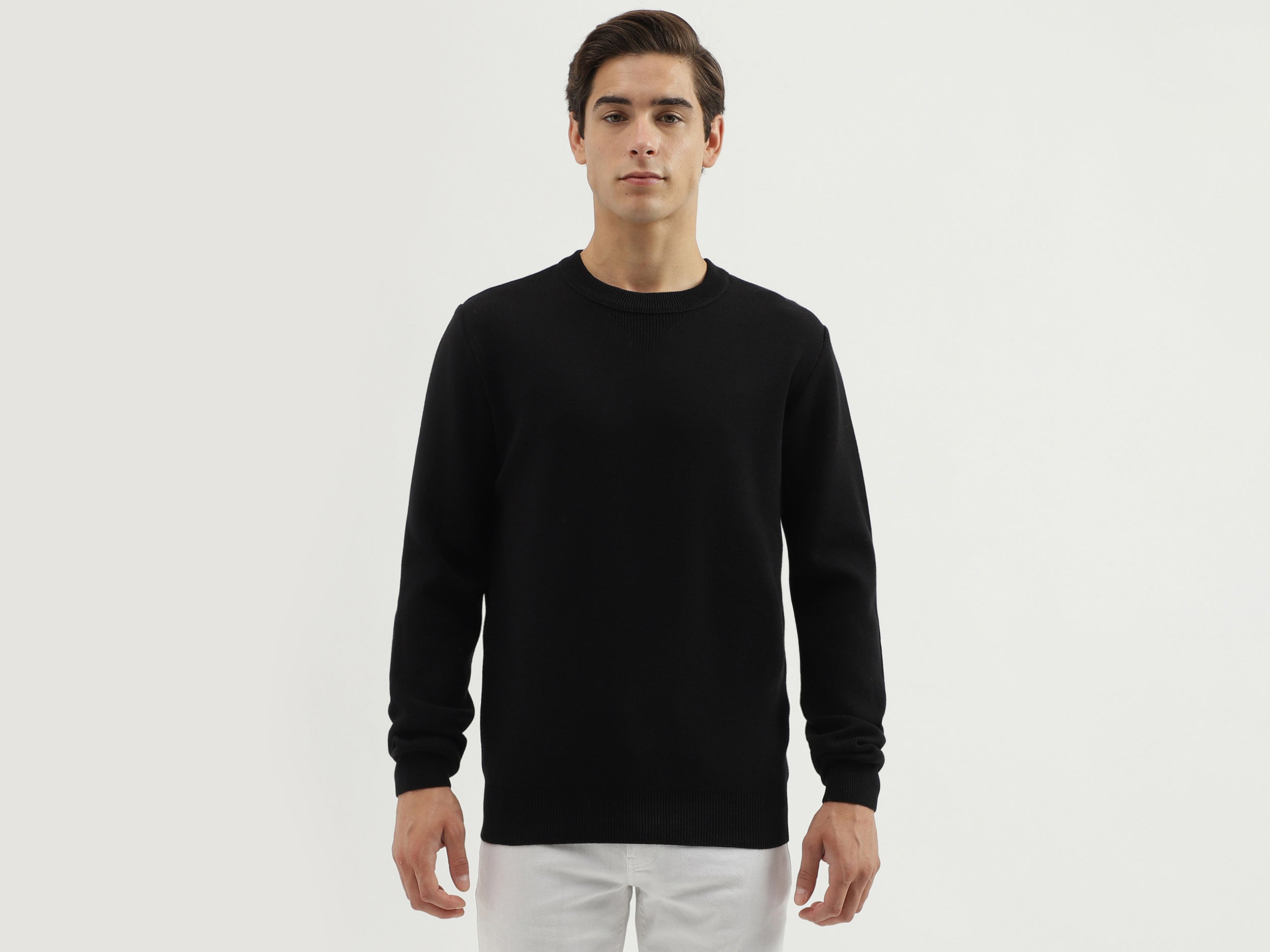 Men's Regular Fit Crew Neck Solid Sweater