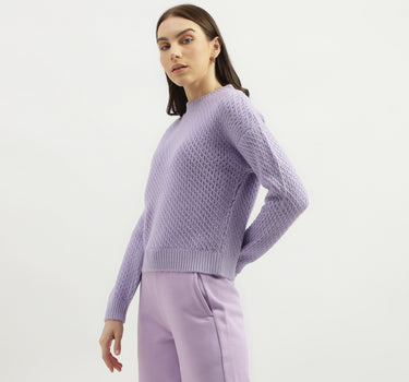 Regular Fit Round Neck Solid Sweater