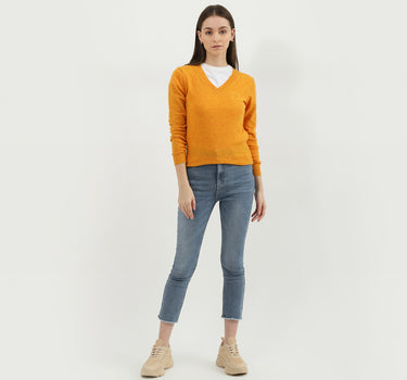 Women Solid V-Neck Sweater