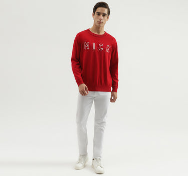 Men's Regular Fit Crew Neck Embroidered Sweater