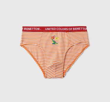 Pack of 2 Striped & Dino Sticker Print Low Rise Briefs