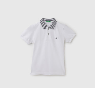 Regular Fit Polo Neck Solid T-Shirt