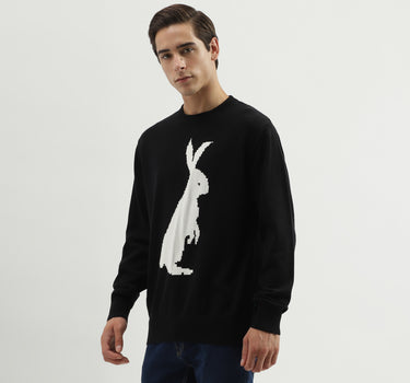 Men's Regular Fit Crew Neck Knitted Sweater