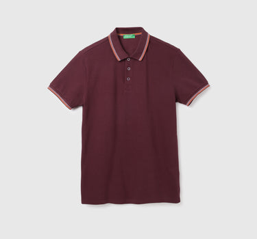 Mens Short Sleeve Solid Polo