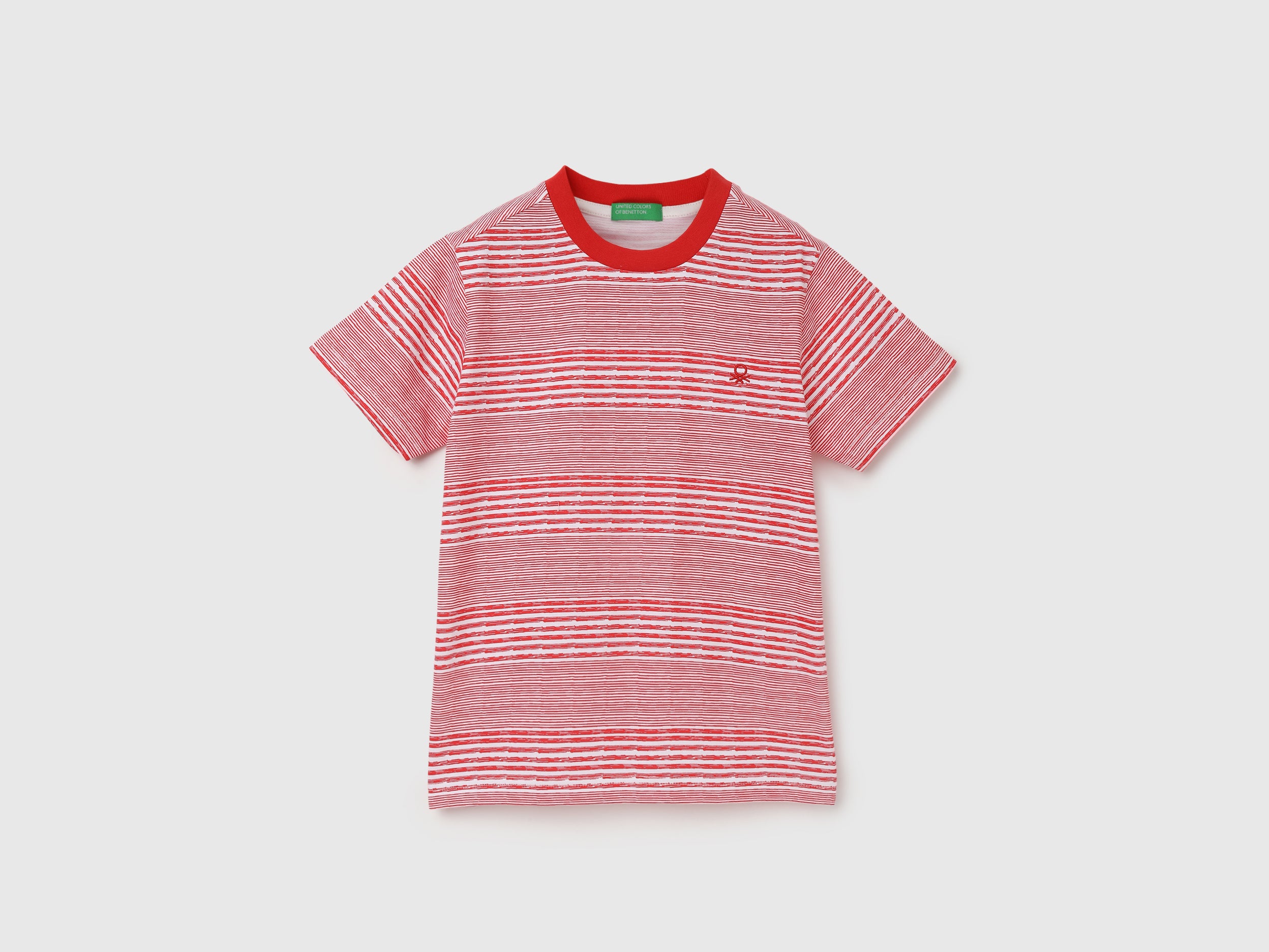 Regular Fit Round Neck Striped T-Shirt