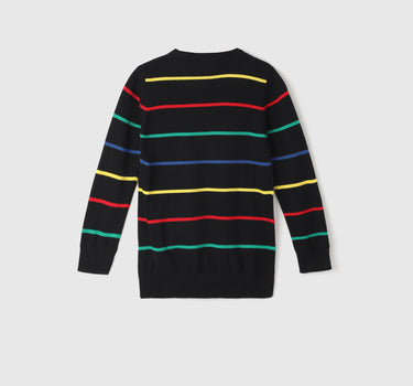 Boy's Regular Fit Round Neck Striped Sweaters