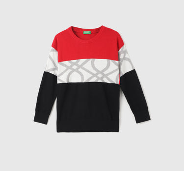 Boy's Regular Fit Round Neck Color Block Sweaters