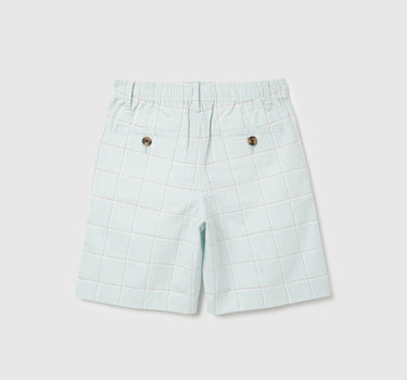 Checkered Regular Fit Shorts