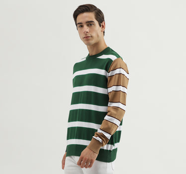 Men's Regular Fit Crew Neck Striped Sweater