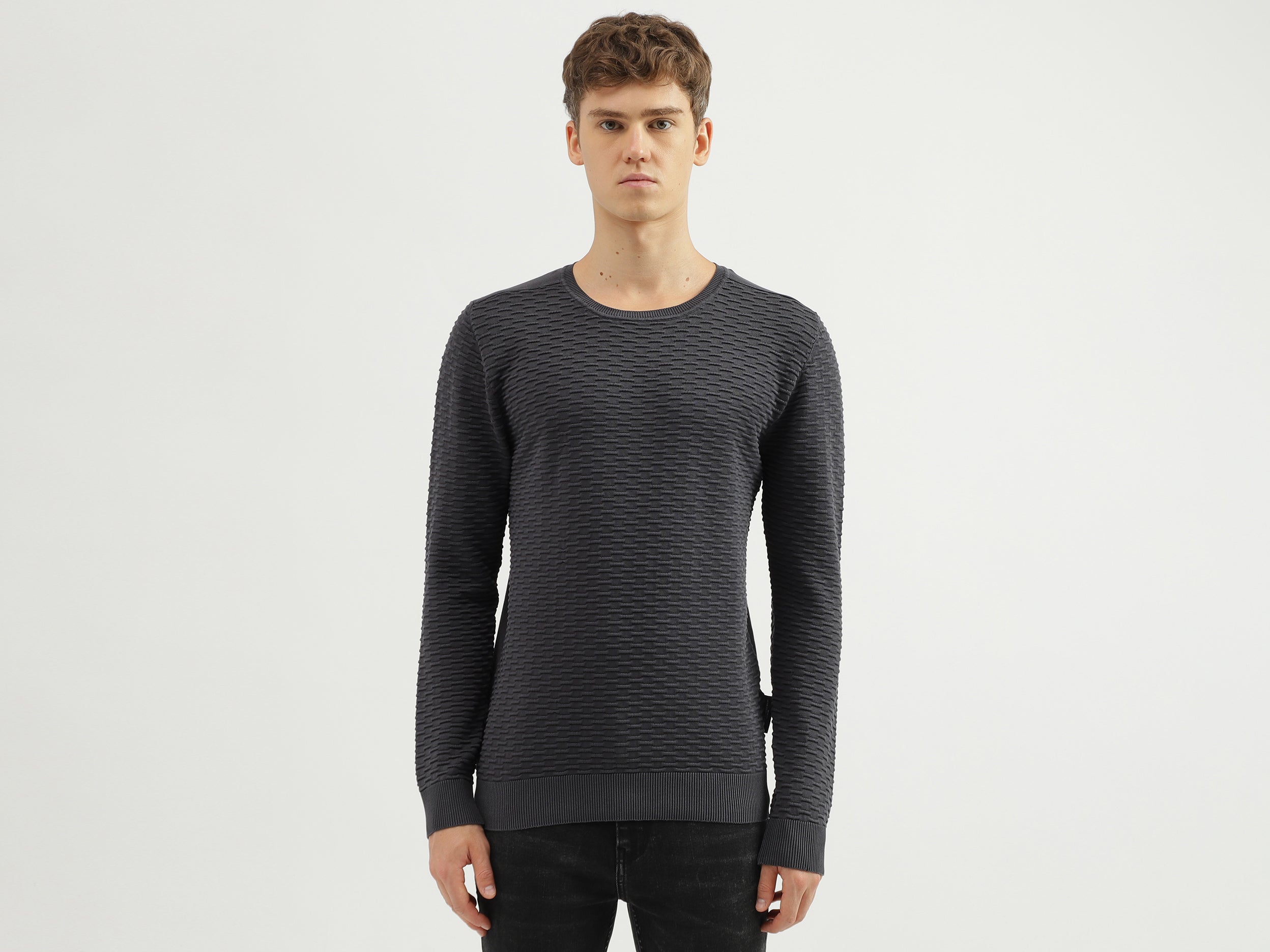 Men's Regular Fit Crew Neck Textured Sweater