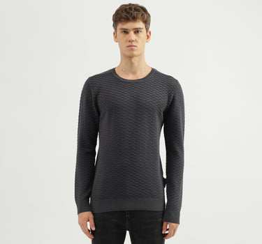 Men's Regular Fit Crew Neck Textured Sweater