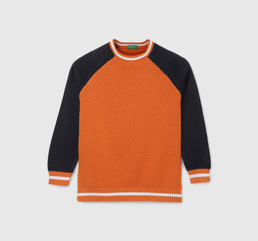 Boy's Regular Fit Crew Neck Colourblock Sweater