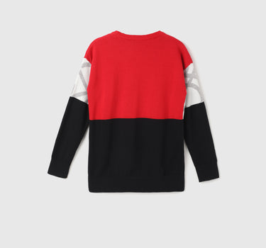 Boy's Regular Fit Round Neck Color Block Sweaters