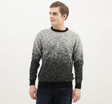 Men Textured Round Neck Sweater