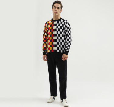 Men's Regular Fit Crew Neck Checked Sweater