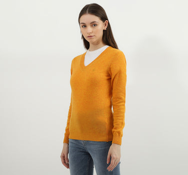 Women Solid V-Neck Sweater