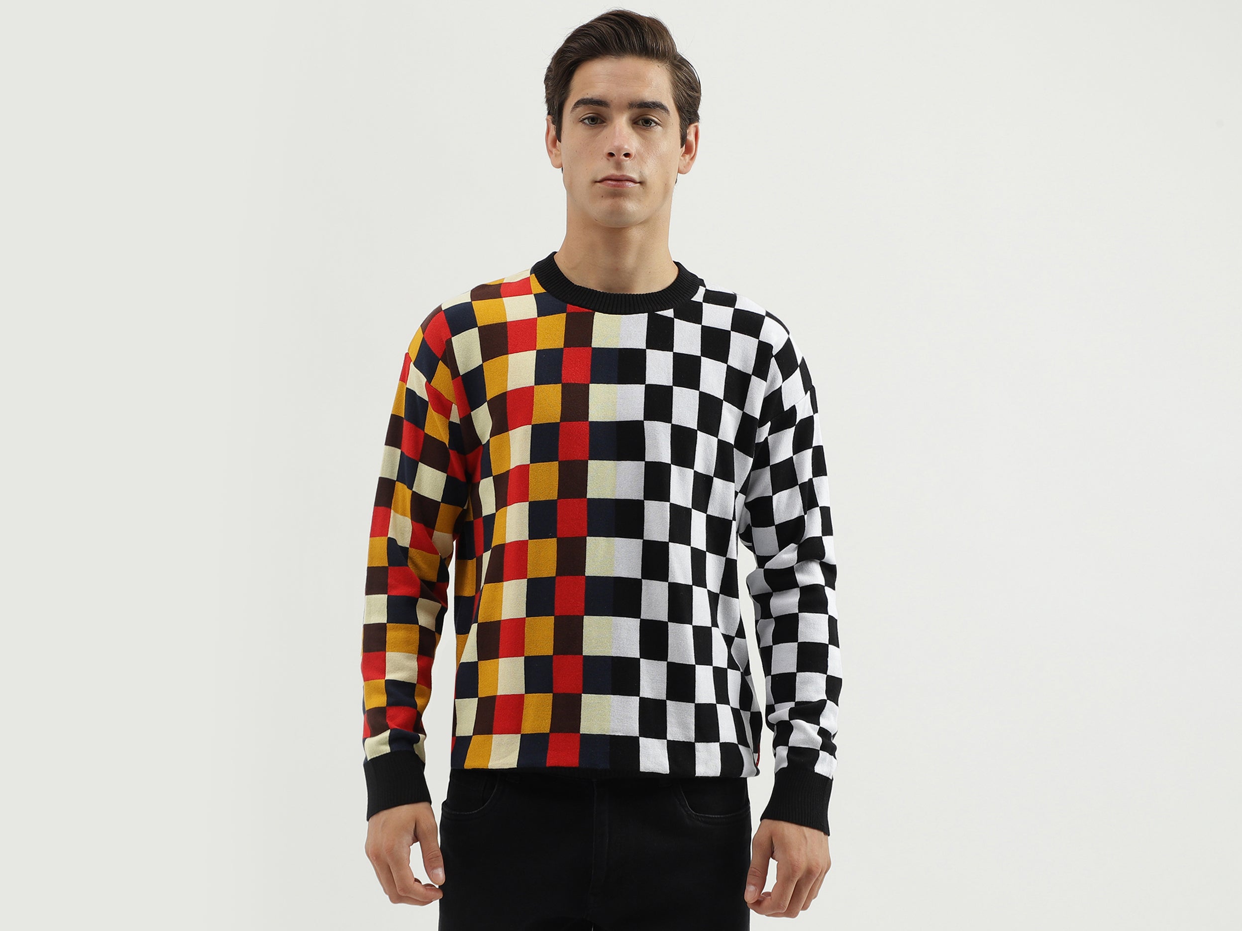 Men's Regular Fit Crew Neck Checked Sweater