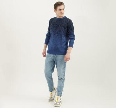 Men Textured Round Neck Sweater