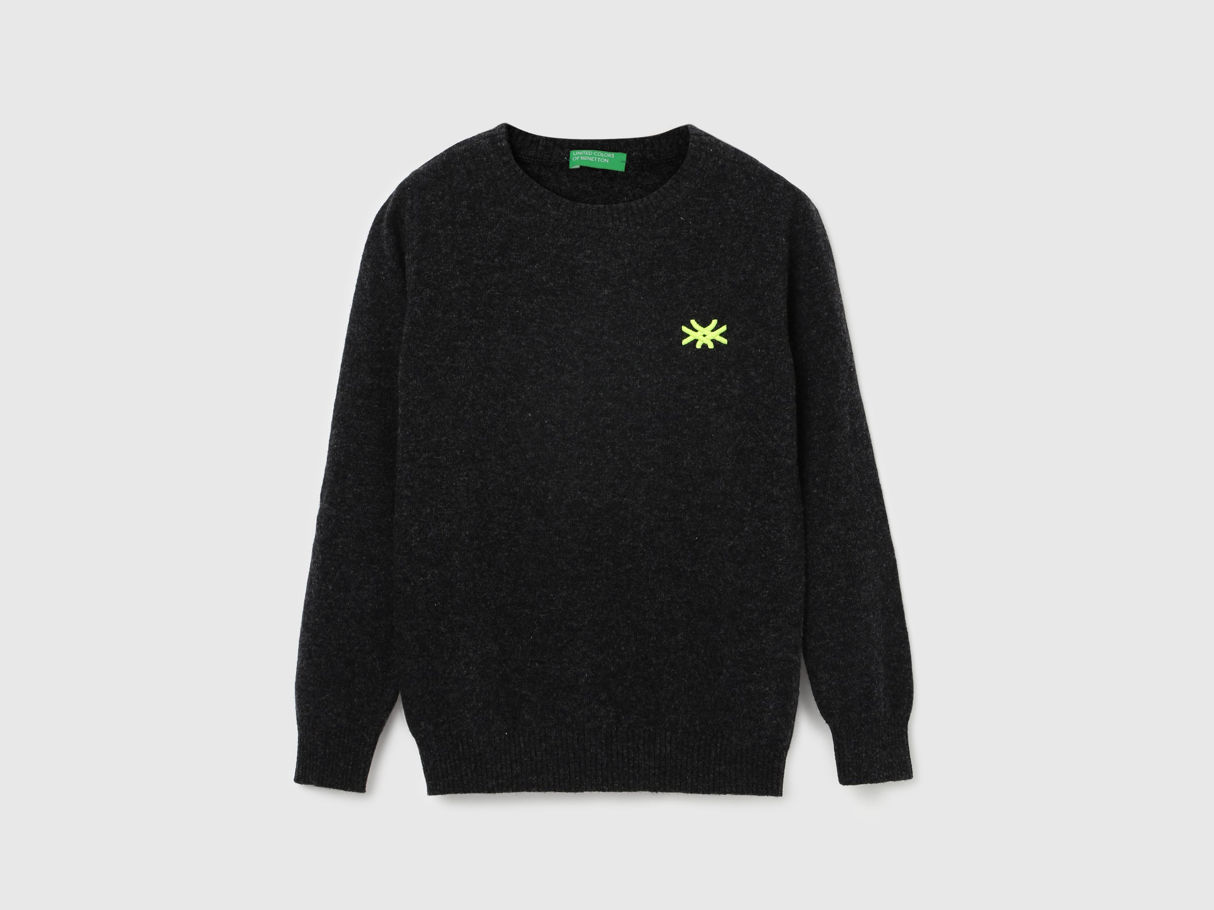 Boy's Regular Fit Crew Neck Solid Sweater