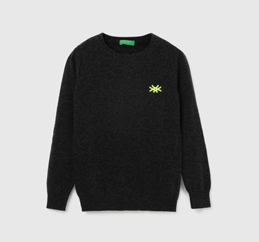 Boy's Regular Fit Crew Neck Solid Sweater