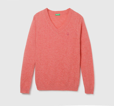 Women's Regular Fit V-Neck Solid Sweater