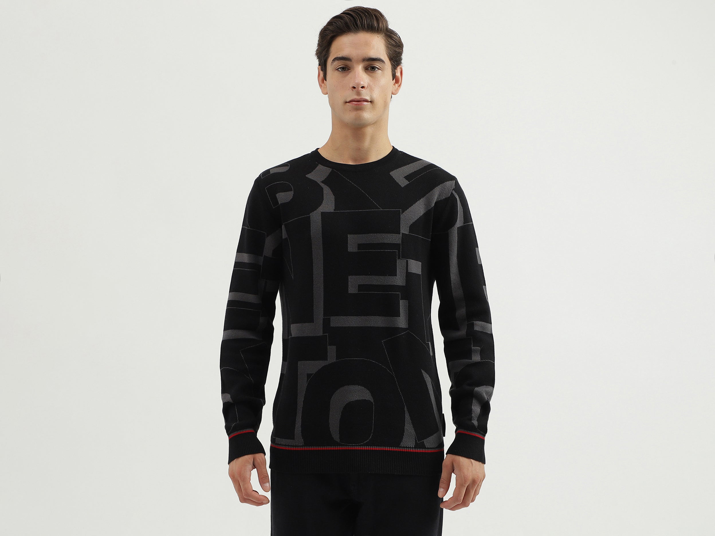 Men's Regular Fit Crew Neck Knitted Sweater