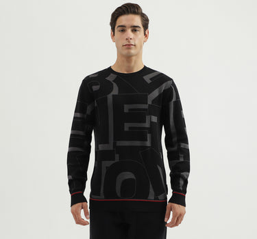 Men's Regular Fit Crew Neck Knitted Sweater