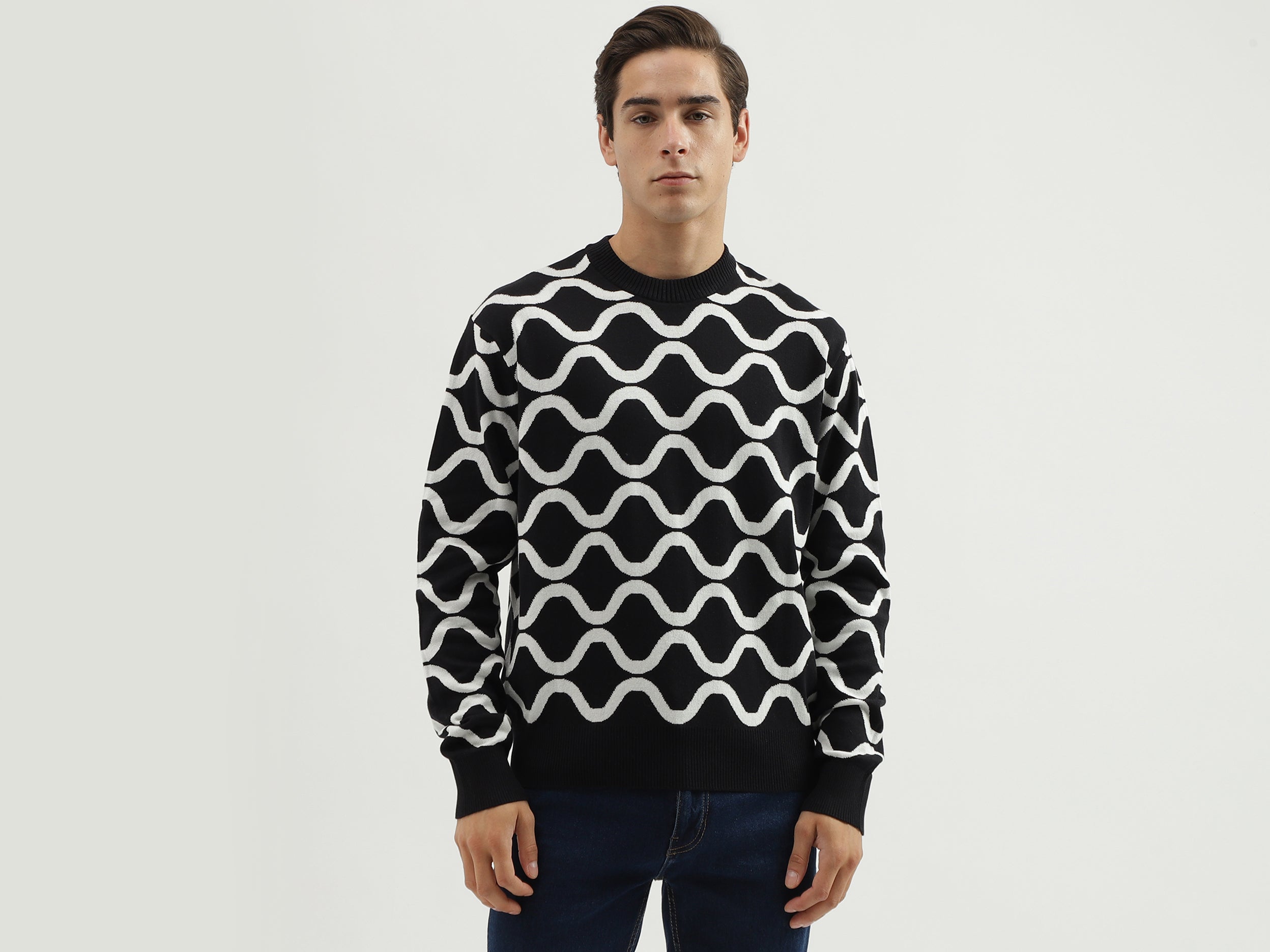 Men's Regular Fit Round Neck Printed Sweater