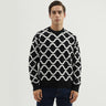 Men's Regular Fit Round Neck Printed Sweater