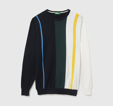 Men's Regular Fit Crew Neck Striped Sweater