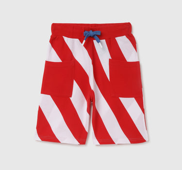 Striped Regular Fit Mid Waist Shorts