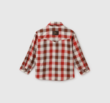 Regular Fit Spread Collar Checkered Shirt