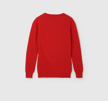 Regular Fit Round Neck Solid Sweater