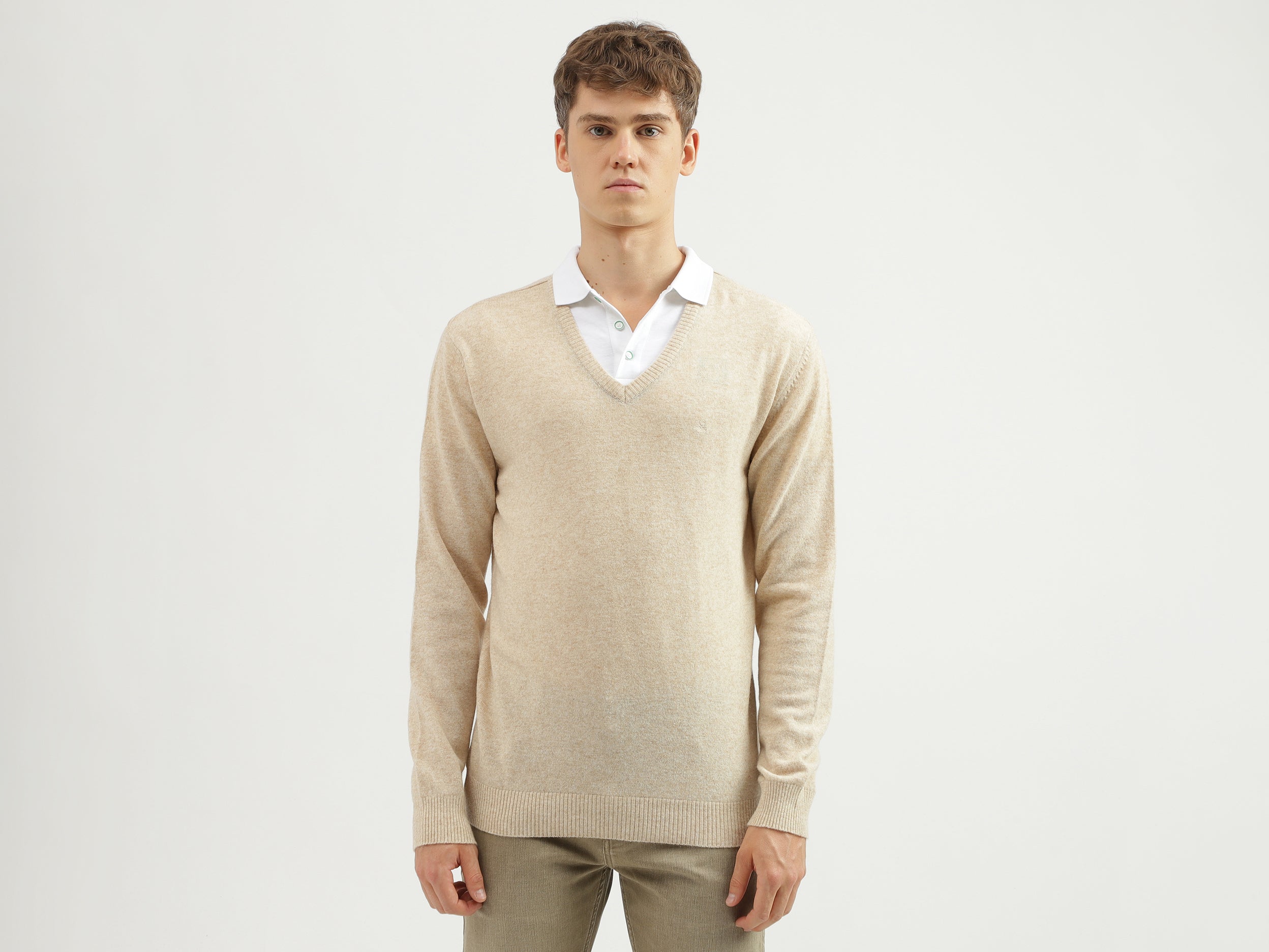 Men's Regular Fit V-Neck Solid Sweater