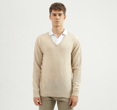 Men's Regular Fit V-Neck Solid Sweater