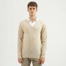 Men's Regular Fit V-Neck Solid Sweater