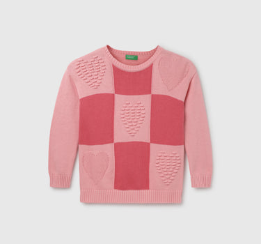 Girl's Regular Fit Round Neck Checked Sweater