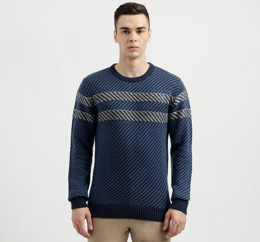 Men's Regular Fit Round Neck Tricot Sweater