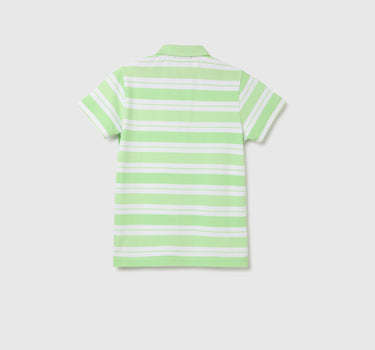 Regular Fit Polo Neck Striped T-shirt