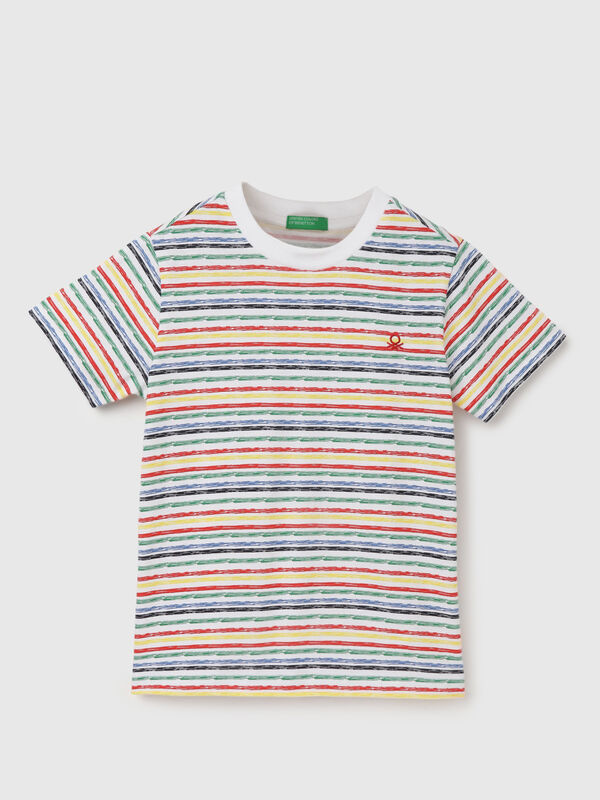 Regular Fit Round Neck Striped T-Shirt